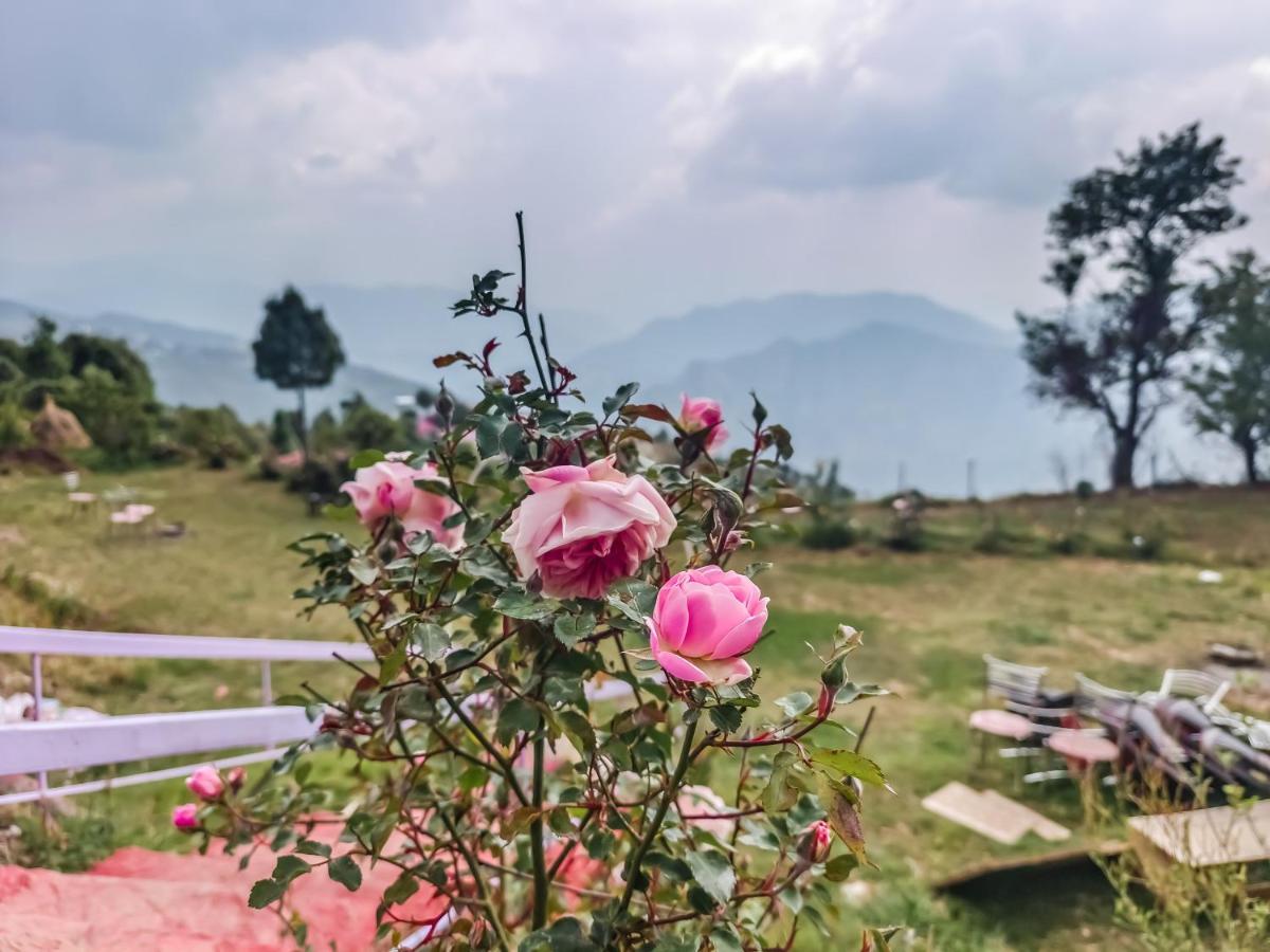 Haut Monde King'S Paradise Resort Kanatal Kültér fotó