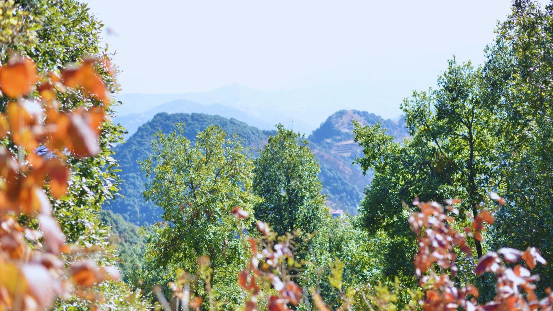 Haut Monde King'S Paradise Resort Kanatal Kültér fotó